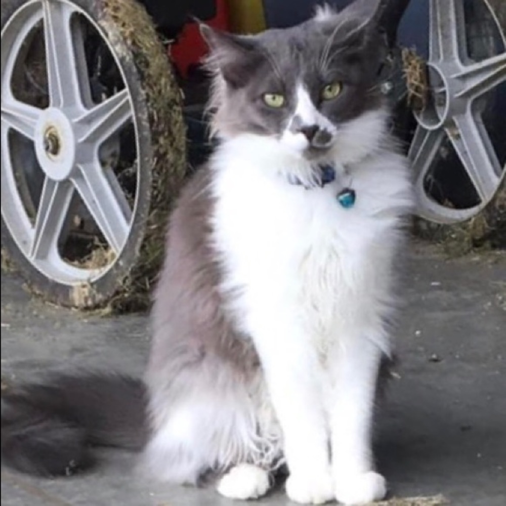 Meet your Posher, Jennette